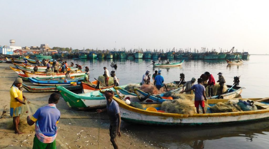 Low fish catch along India’s western coast hints at impacts of climate ...